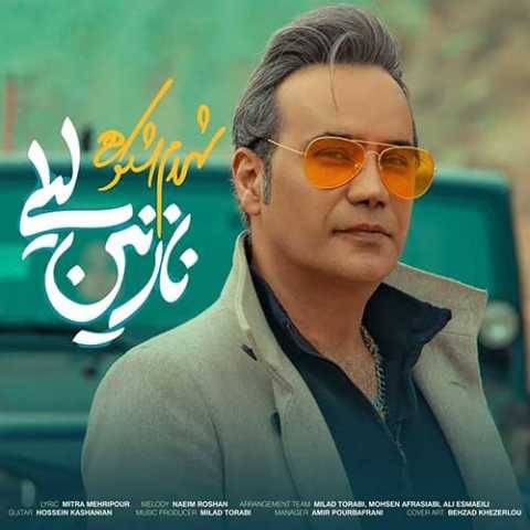 دانلود آهنگ جدید نازنین لیلی شهرام شکوهی
