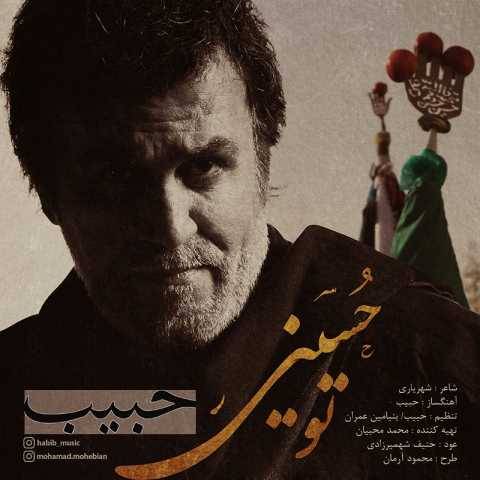 دانلود آهنگ جدید تو حسینی حبیب