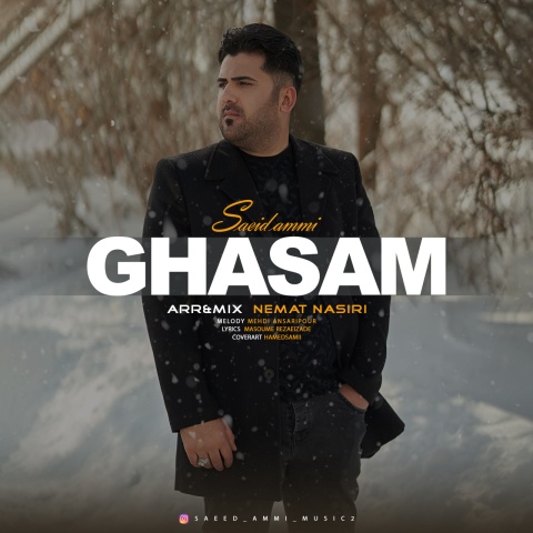 دانلود آهنگ جدید قسم سعید عمی