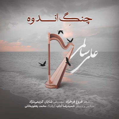 دانلود آهنگ جدید چنگ اندوه علی سالمی