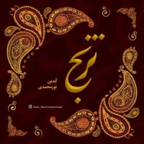 دانلود آهنگ جدید ترنج آیدین نورمحمدی